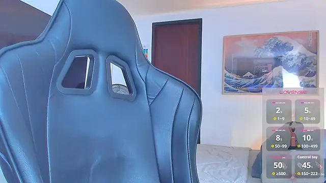 RJBarto webcam
