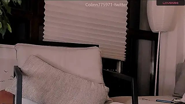 TalkingHead_0_ webcam