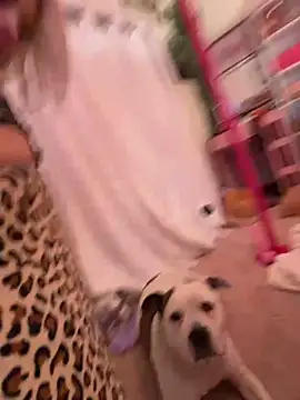 Terribletabby