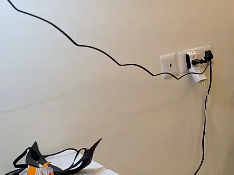BadAss_Siya webcam