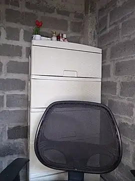 Madeleik webcam