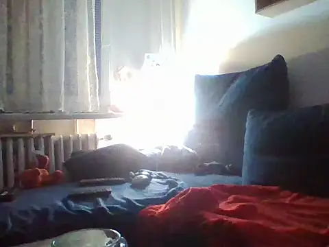 82liska webcam