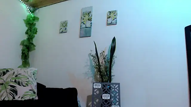 Donniia webcam