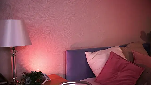 lexy_exe webcam