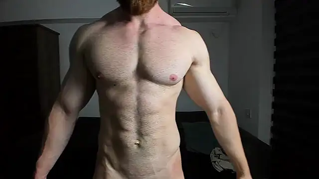 ZkkBlitz webcam