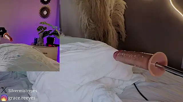 Silvermistt webcam