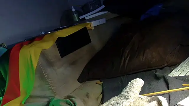 mike30nbg webcam