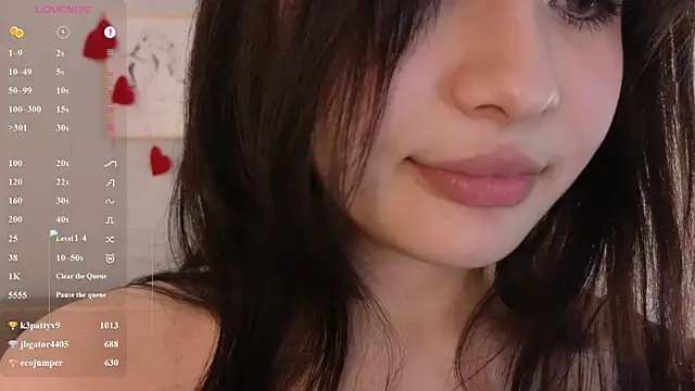 Noiry_Vuvez webcam