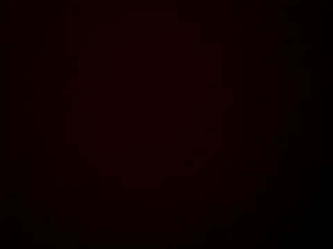 lethargy_19 webcam
