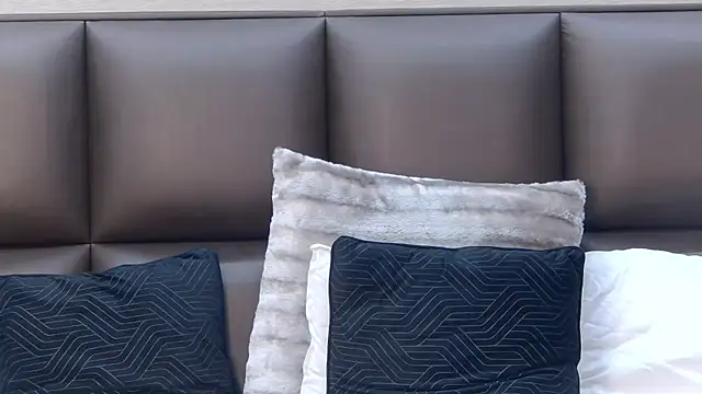 FoxyJoy webcam