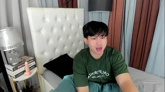 davincihugecock webcam