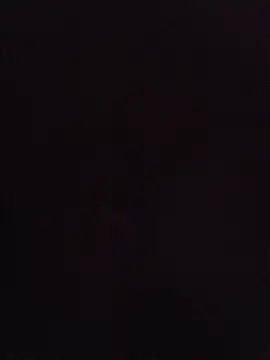 Nidge251 webcam