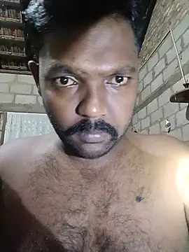 247zzz webcam