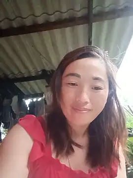 seacyre webcam