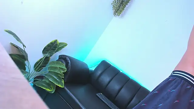 Dante_Fire_ webcam