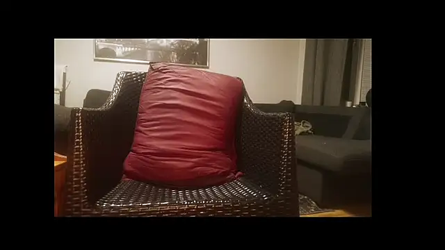 Tyyson03 webcam