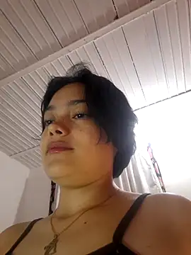 Meeliivee webcam