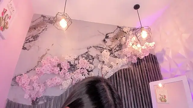 Zephyra_bms webcam