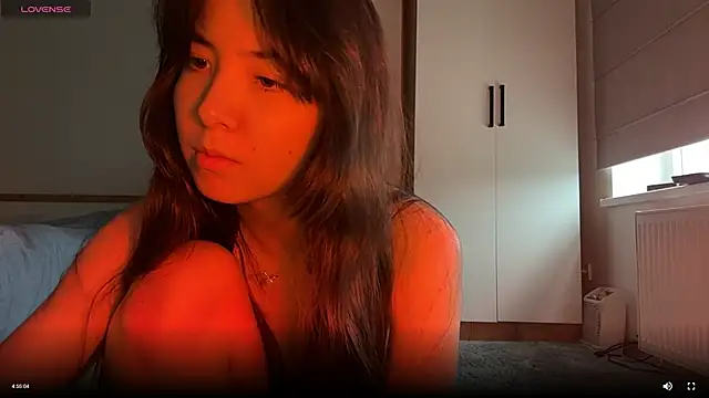 Vemeeer webcam