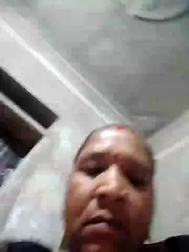 Loomaraj webcam