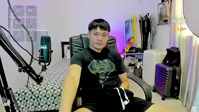 clarkdangerous webcam