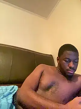 ThickDic28 webcam