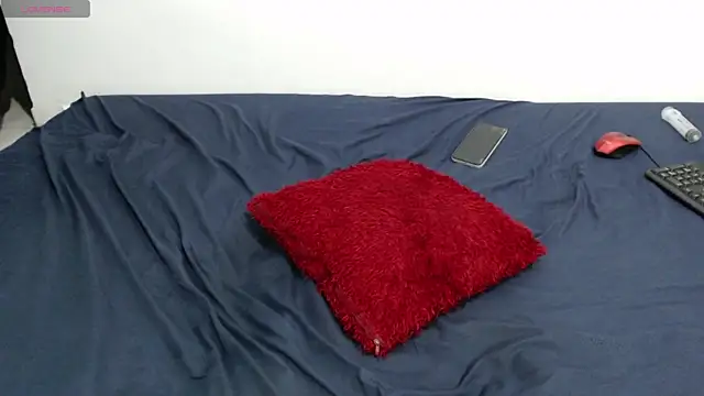 Lancelot_19 webcam