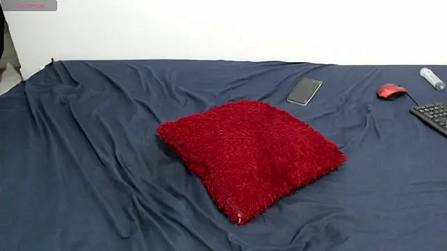 Lancelot_19 webcam