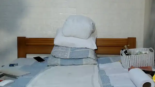 awild_kitten webcam