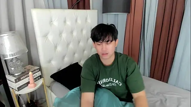 davincihugecock webcam