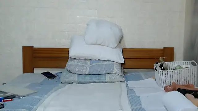 awild_kitten webcam