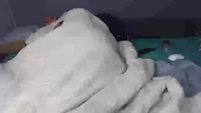 k-dong webcam