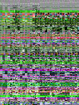 Kittycqtx webcam