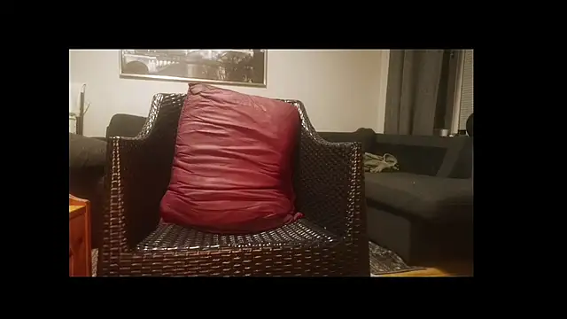Tyyson03 webcam
