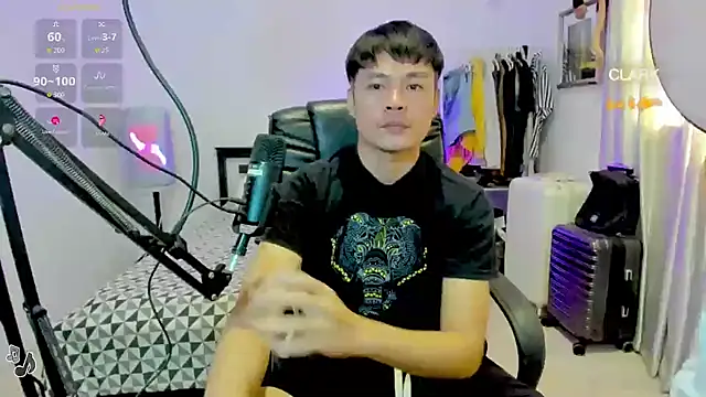 clarkdangerous webcam