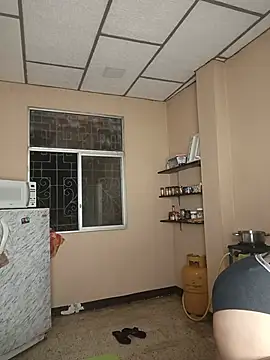 Danelyhit webcam