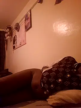 meshje webcam