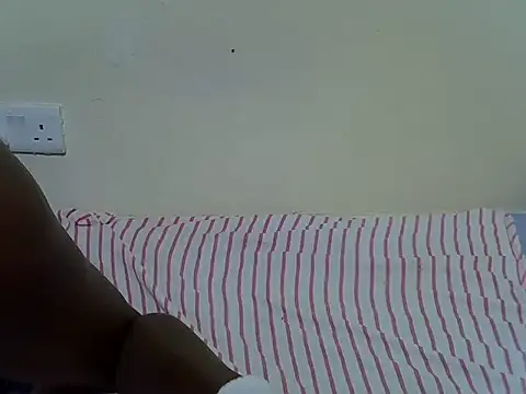 Twerl webcam
