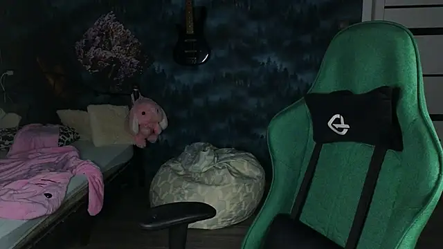artass2 webcam