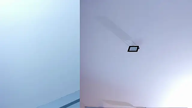 emilytowzen webcam