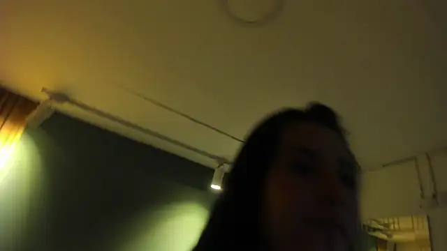SkyCollins webcam