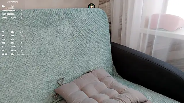 LadaSolar webcam