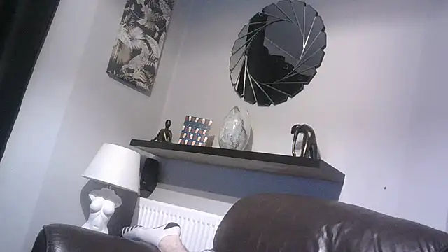 handyandyhandy webcam