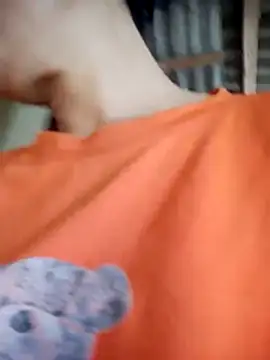 toyo_668 webcam