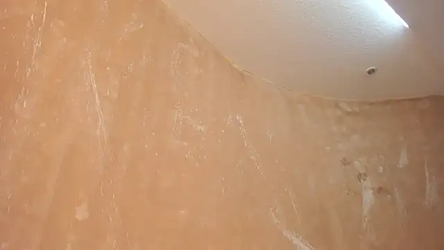 Nituelui - Trans webcam sex chat