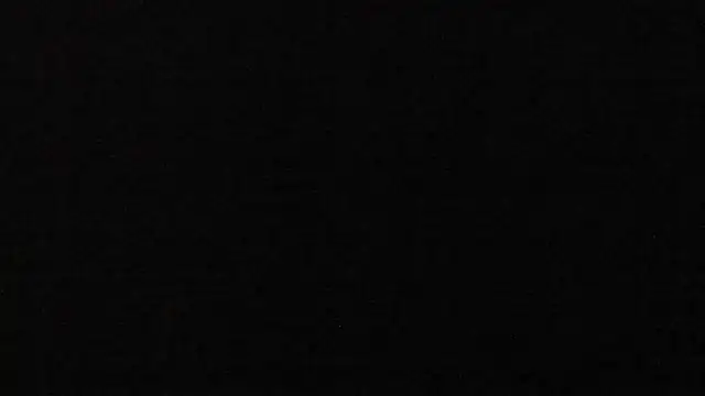 Sebas_cat webcam
