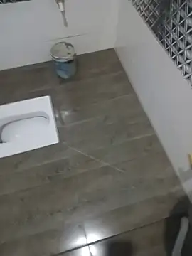 deshilnd webcam