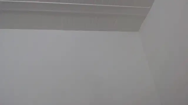 ElizabethMiler webcam