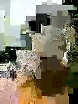 toyo_668 webcam