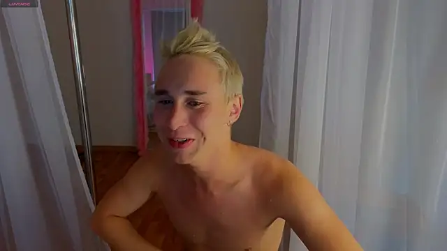 e1v1s webcam